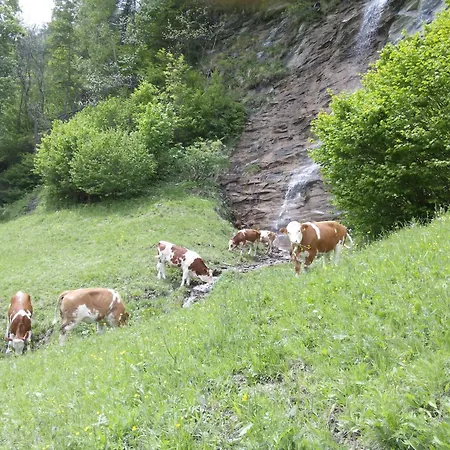 Lägenhet Moharblick 1 Großkirchheim