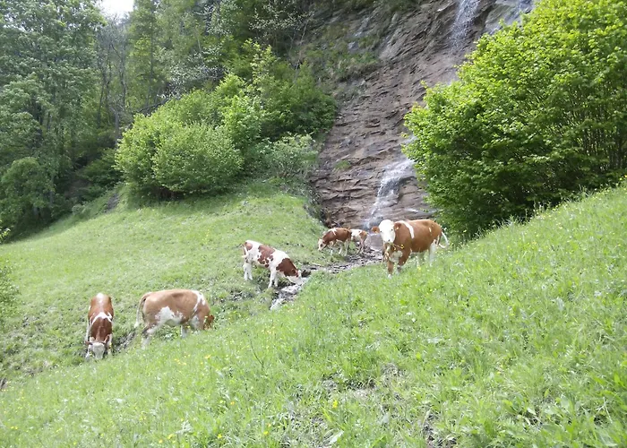 Apartament Moharblick 1 Großkirchheim